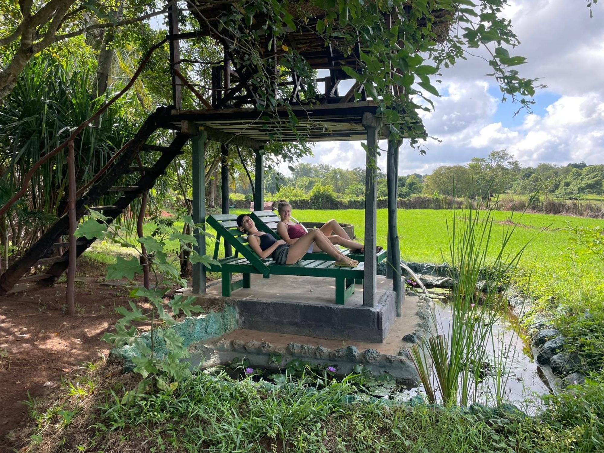 Lake Wind Habarana Exterior photo